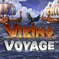 Viking Voyage